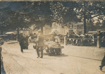 860507 Gezicht op het Vredenburg te Utrecht tijdens een veemarkt op het plein, met op de voorgrond een koopvrouw achter ...